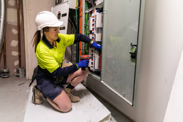 Best Electric Panel Repair  in Wayzata, MN